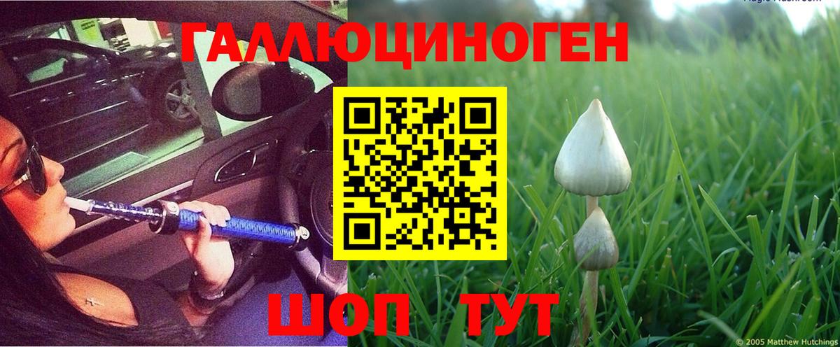цены наркотик  Вход с VPN  Галлюциногенные грибы GOLDEN TEACHER  Кисловодск  Галлюциногенные грибы Magic Shrooms 