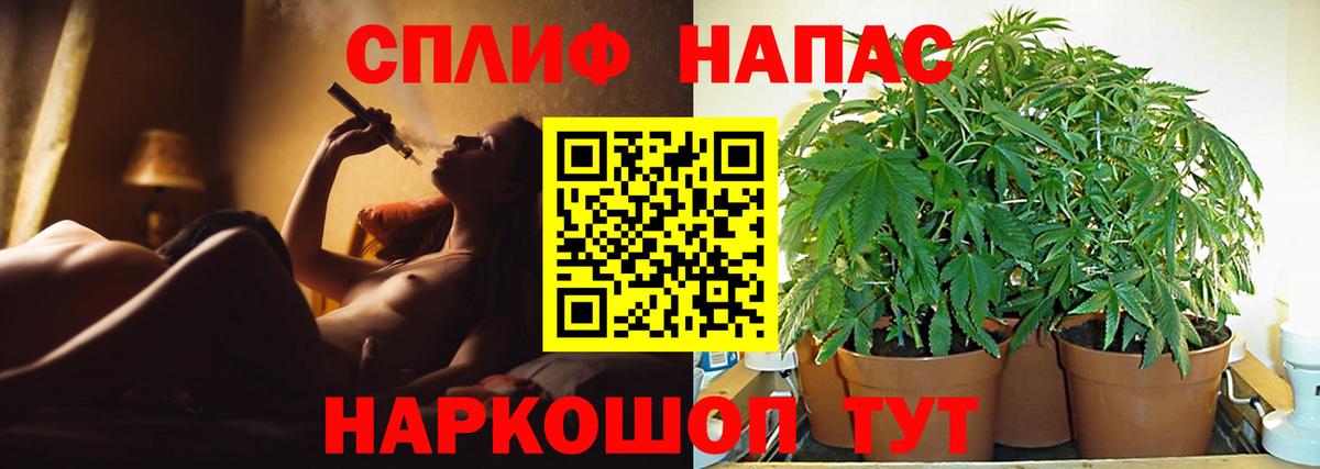 Конопля конопля  Канабис Bruce Banner  Кисловодск  Шишки марихуана сатива  Вход с VPN 
